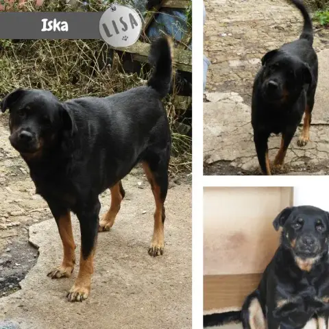 Iska