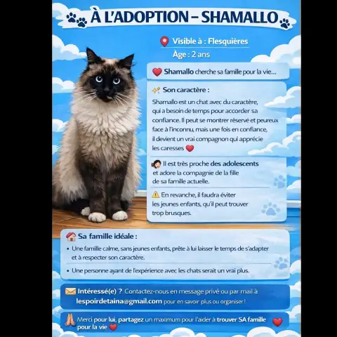 Shamallo photo 2