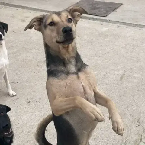 Max