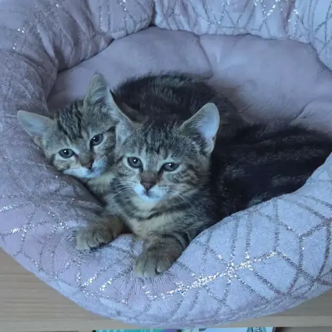 Baby photo 3