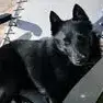 Aiko photo 2