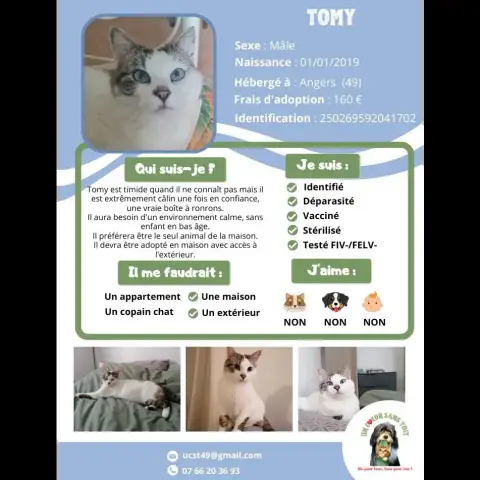 Tomy