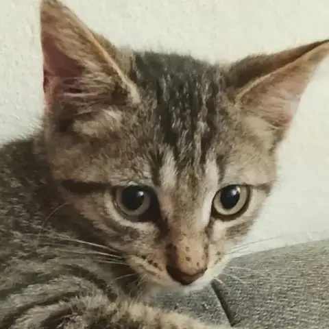 Zoe photo 3