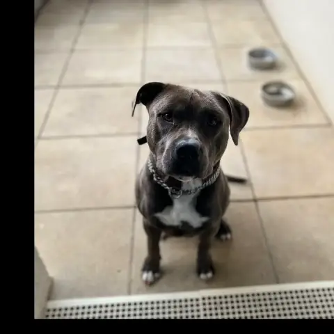Snoop photo 3