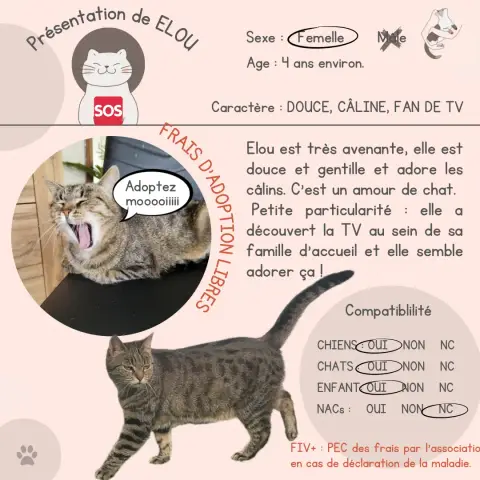 Elou