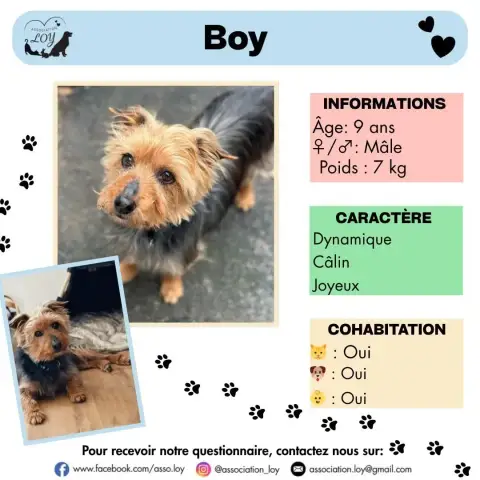 Boy