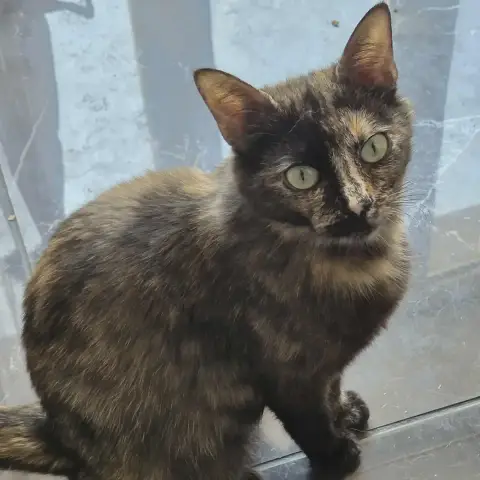 Maya photo 2
