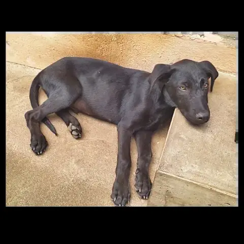 Bouba photo 3