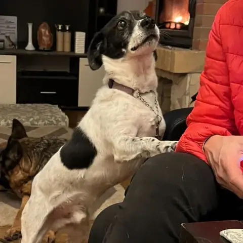 Buddy