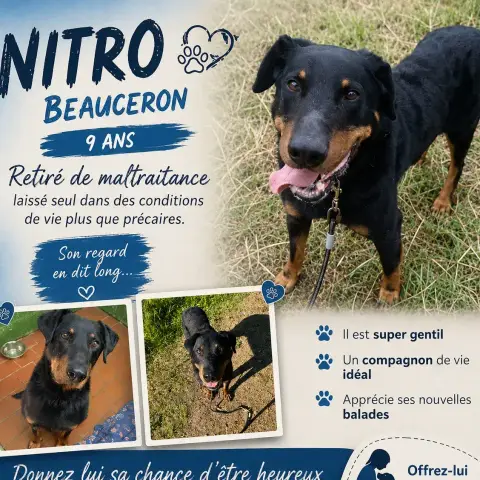 Nitro