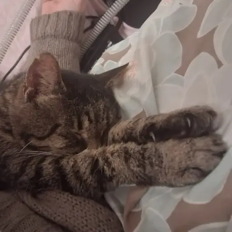 Milla photo 3