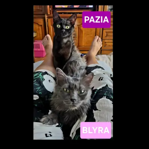 Blyra Et Pazia
