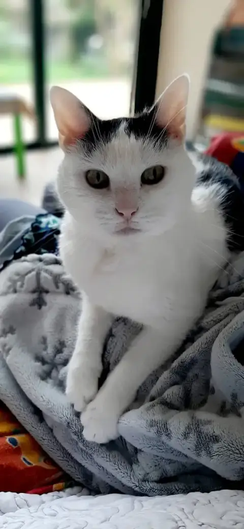 Mimi