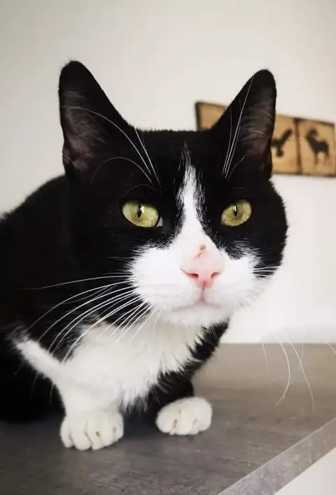 Salem