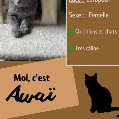Awaï