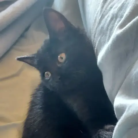 Aby