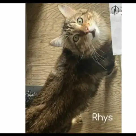 Rhys photo 2
