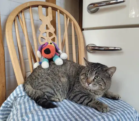 Poupy photo 3