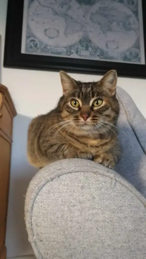 Mia
