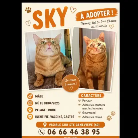 Sky