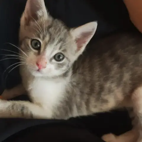 Mélia photo 2