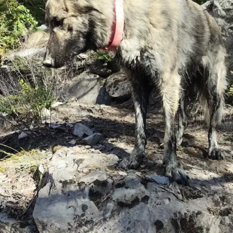 Oona photo 2