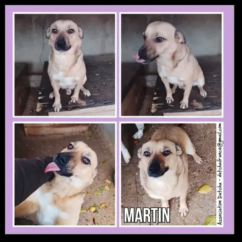Martin