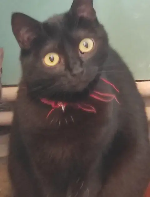 Tina