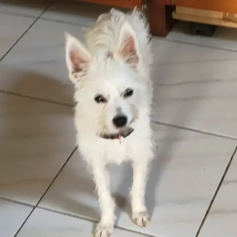 Lili Puce photo 2