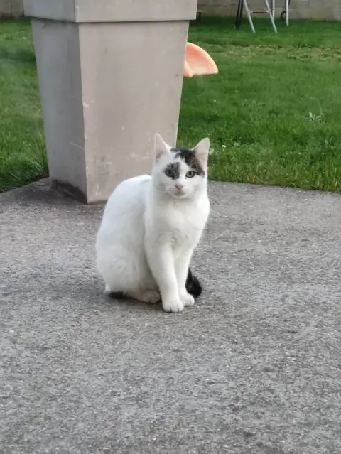 Kiki