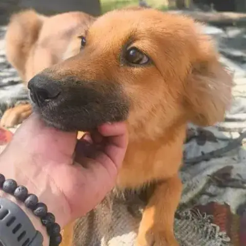 Rita