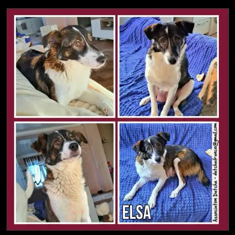 Elsa