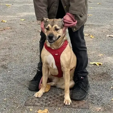 Tyson photo 3
