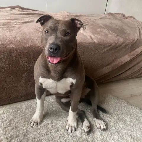 Nala photo 2