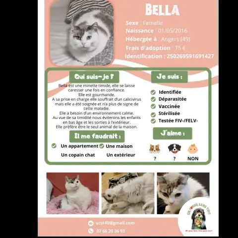 Bella