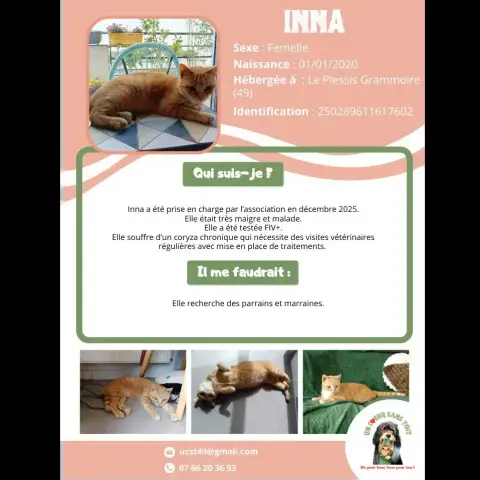 Inna
