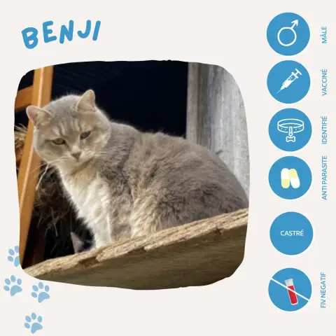 Benji