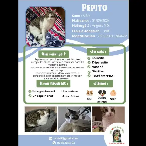 Pepito