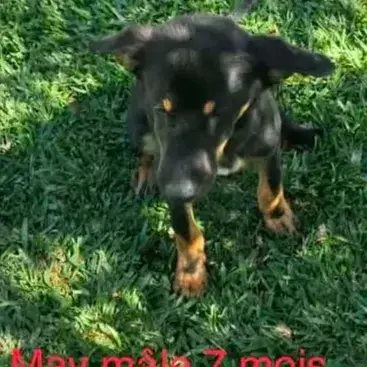 May
