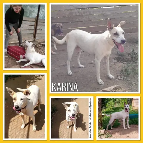 Karina