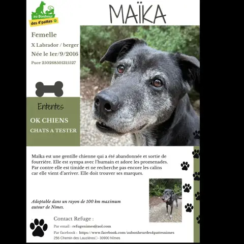 Maïka