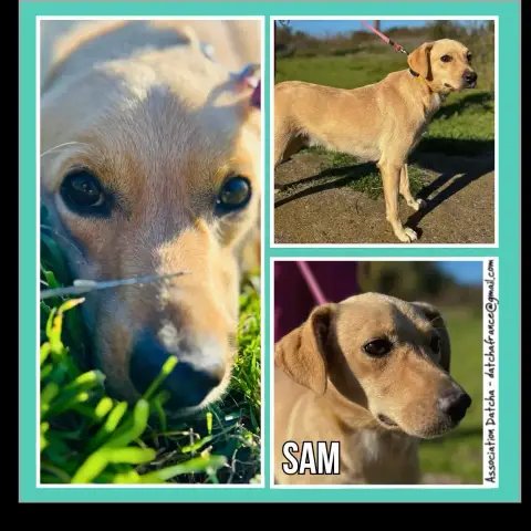 Sam