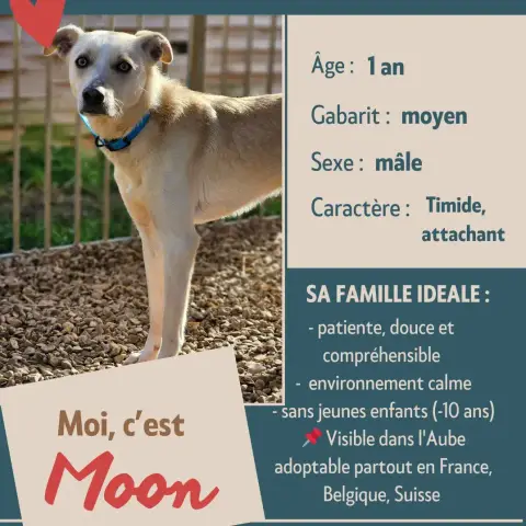 Moon