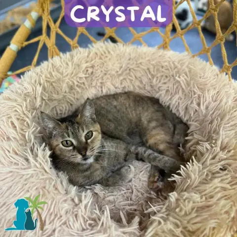 Crystal