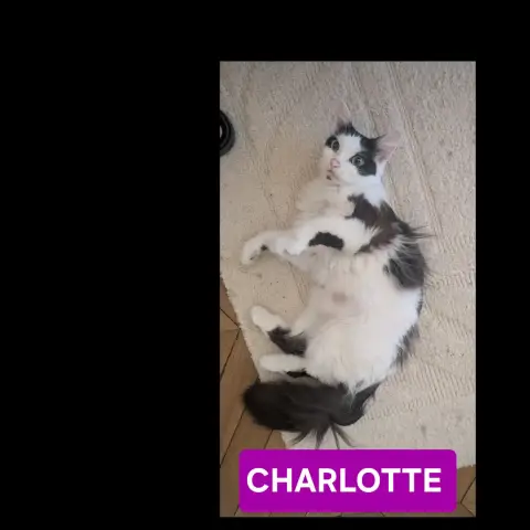 Charlotte