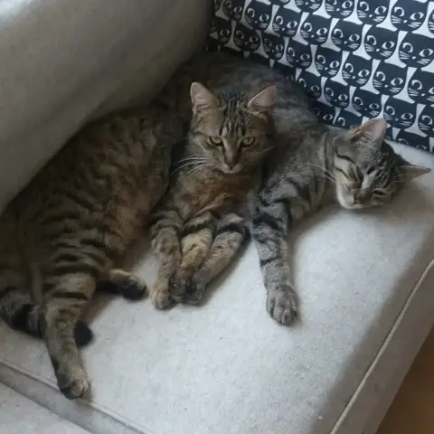 Calvina & Victoria