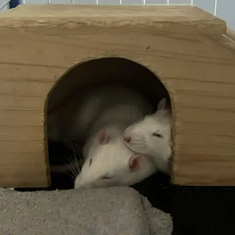 Aaron & Stuart