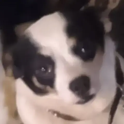 Niki