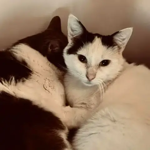 Aliocha Et Milane photo 2