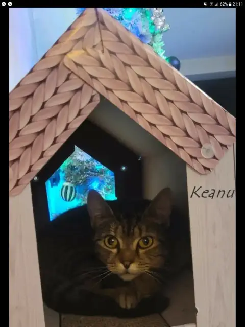 Keznu photo 2